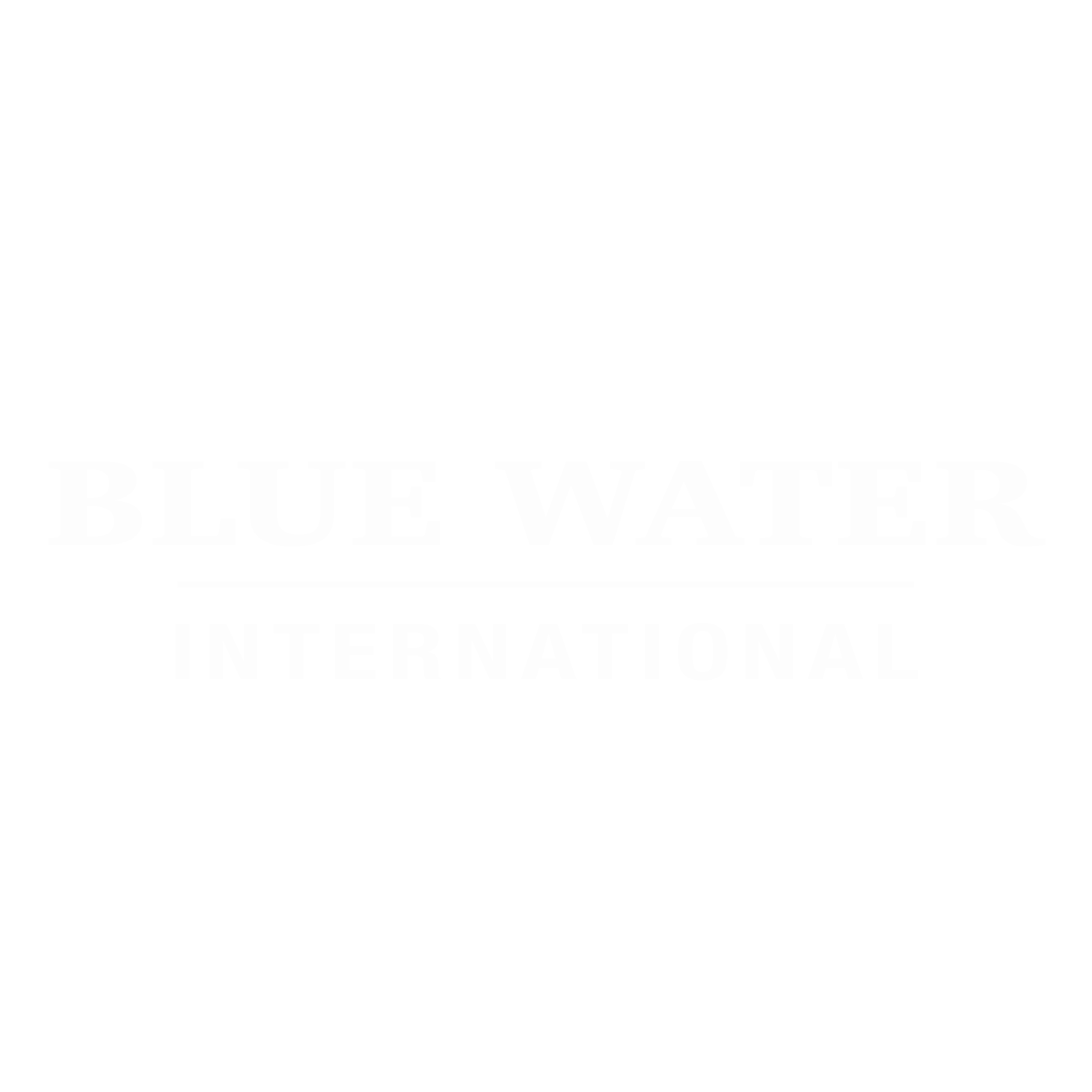 Blue Water International Logo
